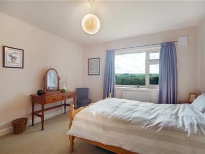 Picture 28